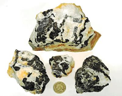 Sphalerite, Dylife. (CWO) Bill Bagley Rocks and Minerals