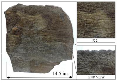 Sole marks, Oscillation ripples. Bill Bagley Rocks and Minerals