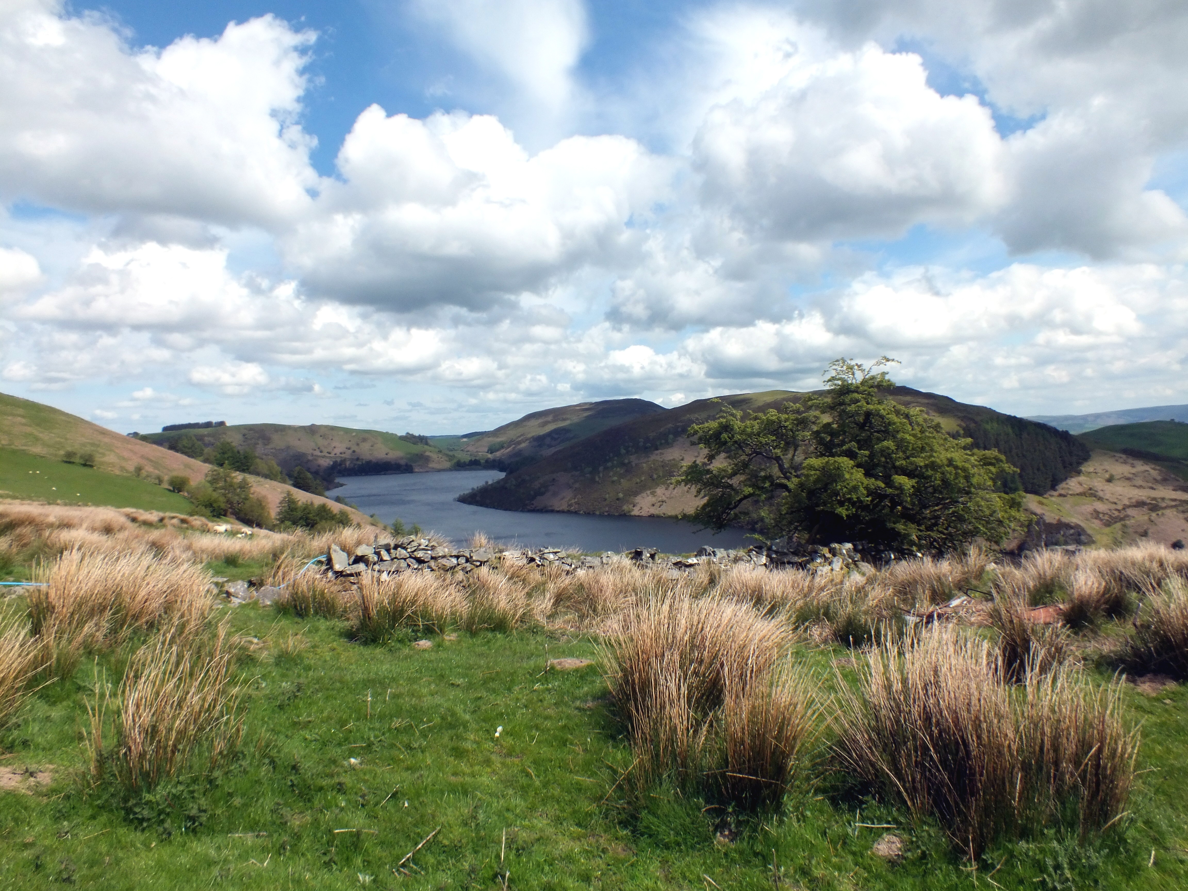 CLYWEDOG RESERVOIR Bill Bagley Photography